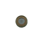 Nitrous Express 3000 Psi Burst Disc For Nx Lightning 500 Valves New. Price: $17.50.